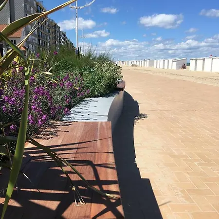 Studio Koksijde كوكسيجدي